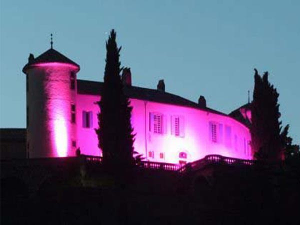 Château de Ventavon_05300 VENTAVON_11 Château de Ventavon_05300 VENTAVON_11